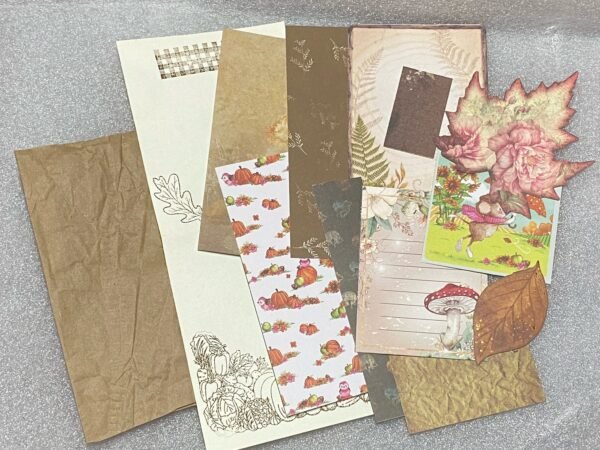 Pochette Cozy Automne – Image 4